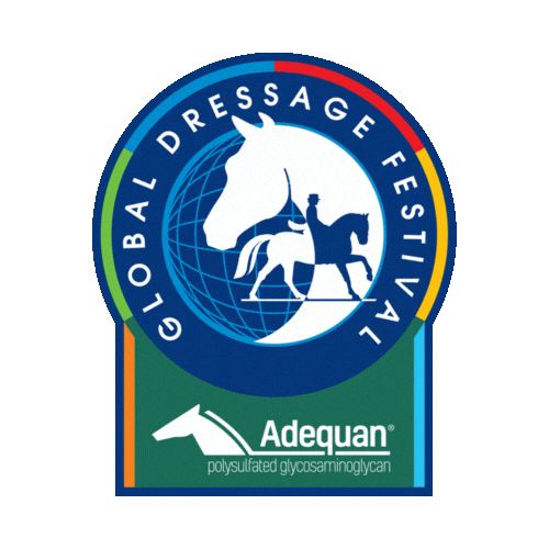 Horse Florida Sticker by Wellington International