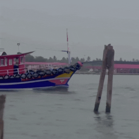 Kerala Azheekal GIF