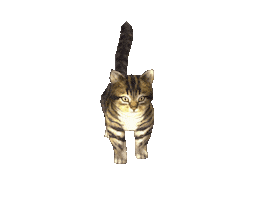 Cat Sticker
