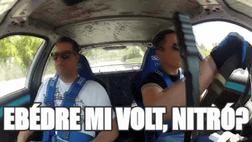gazsoistvan  GIF
