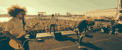 GIF by Pure Noise Records