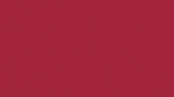 Charroslmb2025 GIF by Charros de Jalisco