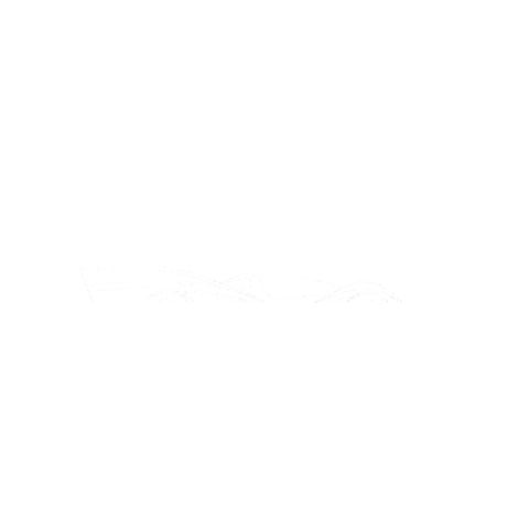 Rodin Cars Sticker