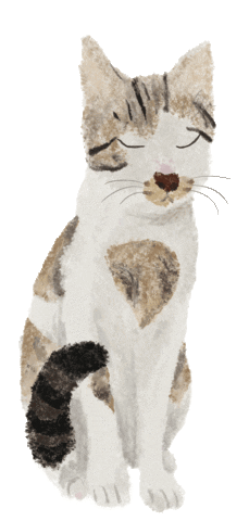 Cat Sticker