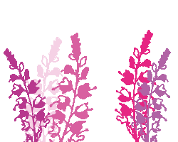 Heide Sticker by Gardengirls