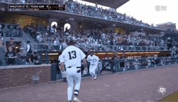 Jump Sec GIF by Texas A&M Athletics