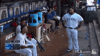 Houston-astros-dugout GIFs - Get the best GIF on GIPHY