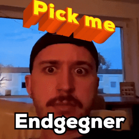 Endgegner Pick Me GIF
