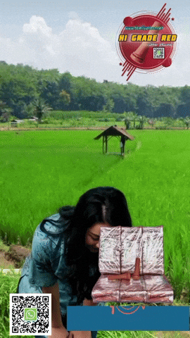 Villages And Rice Fields Familyplast Familyplast GIF