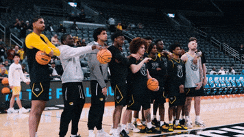 March Madness Basketball GIF by Mizzou Athletics