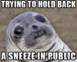 sneeze sneezing GIF