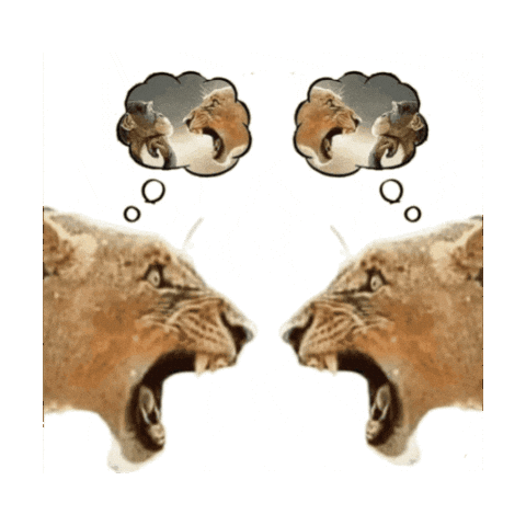 Monkey Sticker