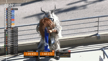 Here I Am Wtf GIF by MotoGP