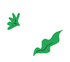 CaciqueCC Sticker