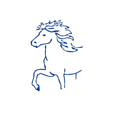 Islandpferde Auensee Sticker