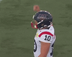 Montreal Celebrates GIF