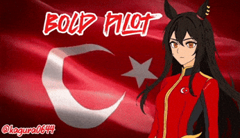 Turkey Pilot GIF