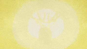 music video animation GIF by Vevo