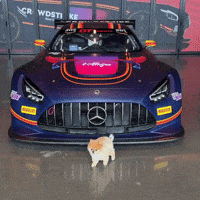gt-drivers-club-mercedes-benz-amg-challenge-america-qkgZMVIATK52qRAAue
