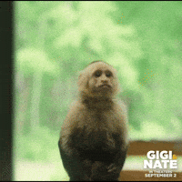 200.gif