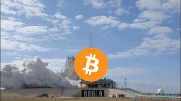 Buy Bitcoin GIFs - Get the best GIF on GIPHY