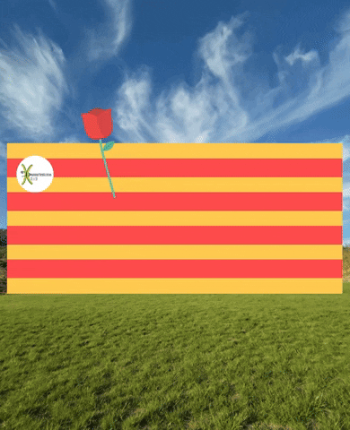 Catalunya Diada GIF by xpassarlestona