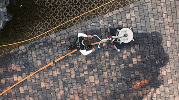 TAFF by WANDWERK GIF