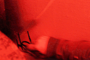joannecalmel  GIF