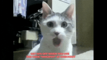 Cat Wow GIF by mammamiacovers
