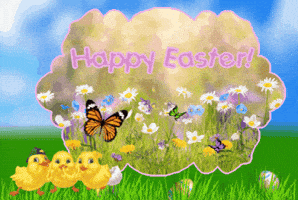 Easter Bunny Spring GIF