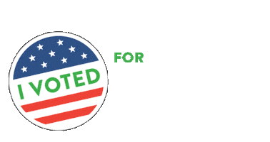 Voting 2020 Elections Sticker by Theresa Greenfield for Iowa