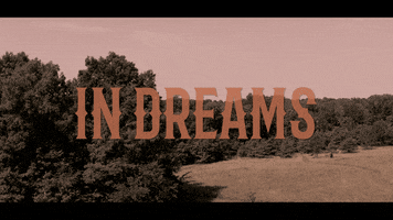 In Dreams Movie GIF by Sierra Ferrell