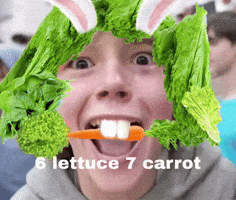 6 7 Carrot GIF