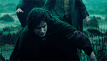 merry lord of the rings GIF