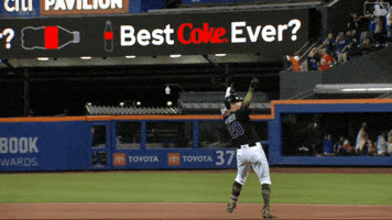 Celebrate Major League Baseball GIF by New York Mets
