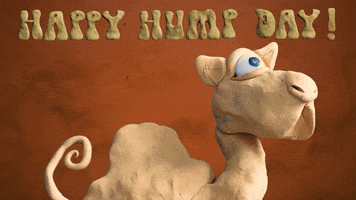 Hump Day Love GIF by Clay Nation