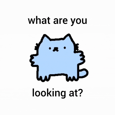 Cat Nub GIF