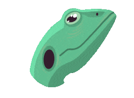 Lizard Sticker