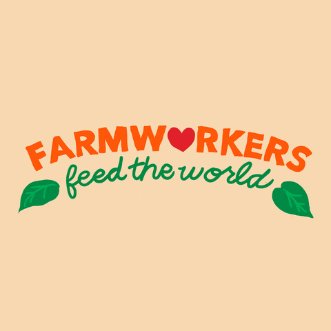 Text gif. Text reading, "Farmworkers" is written in a blocky, bold orange font with a heart replacing the O. Right below, written in a green cursive font, more text reads, "feed the world" and is aesthetically decorated with green leaves.