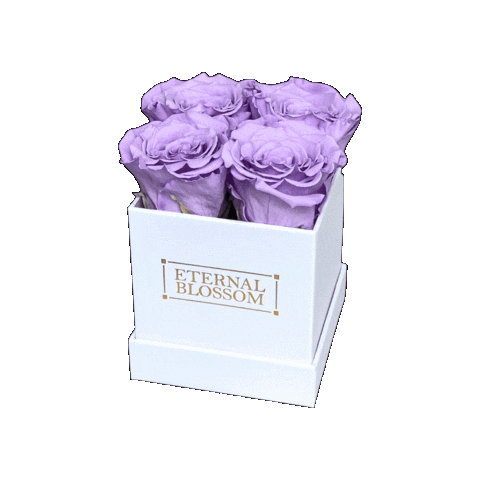 Eternal Blossom Roses Sticker