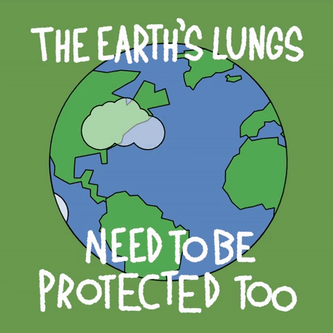 Earth's Lungs Protected