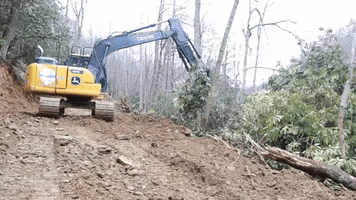 Trees Operator GIF by JC Property Professionals