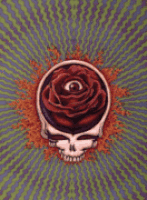 Grateful Dead Today GIF