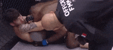 Mma GIF by Old School Academy