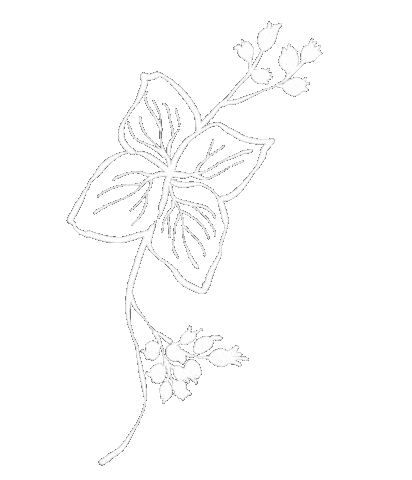 花 Black And White Sticker
