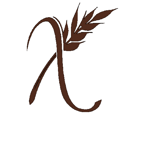 Xelapan Sticker