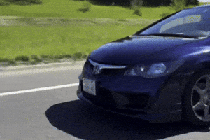 Fd2 GIF