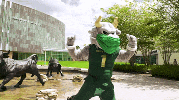Mask Mascot GIF by University of South Florida