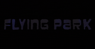 FLYING PARK GIF