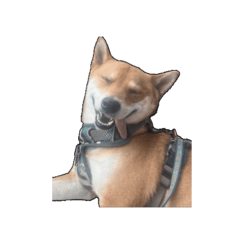 Normal Finance Sticker